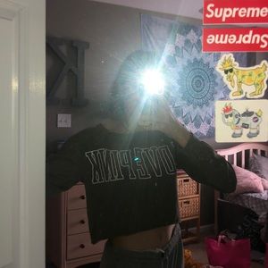 Cropped Pink long sleeve (navy green)